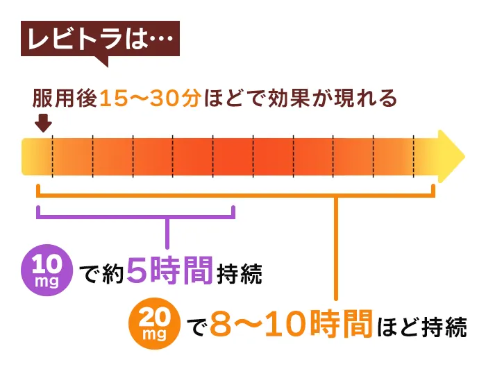 レビトラの効果時間や硬さなど、特徴まとめ